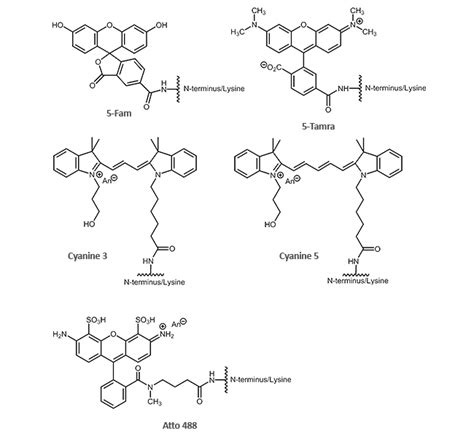 Biomers Net PNA Oligomers Biomers Net Oligonucleotides