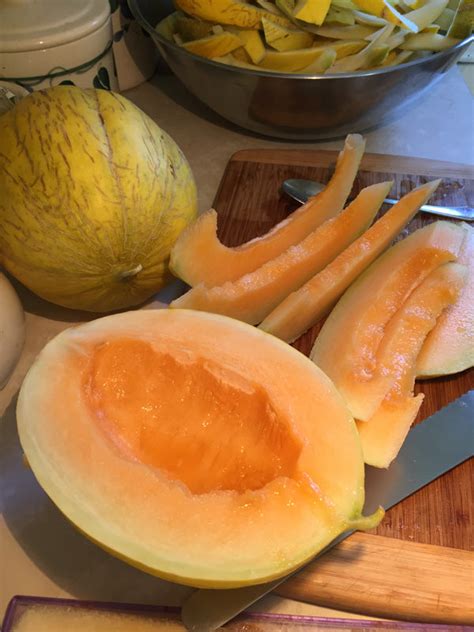 Melon Hopi Hardy Seeds