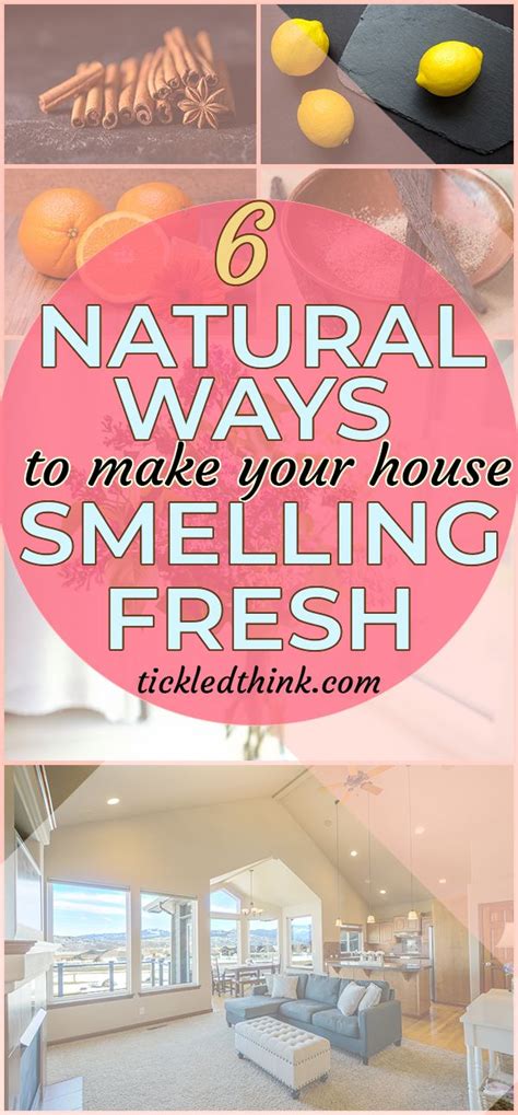 Amazing Hacks To Keep Your House Smelling Fresh House Smell Good