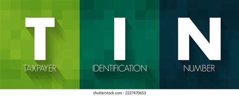 Tin Taxpayer Identification Number Identification Number Stock Vector