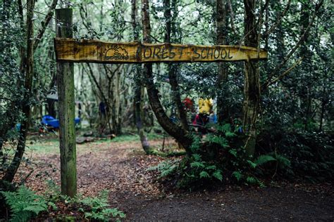 Forest School The Jungle Ni