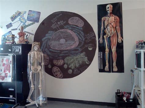 My Anatomy And Physiology Classroom Would Look Something Like This With