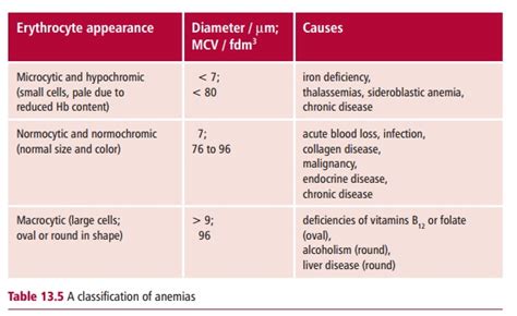 Anemias Microcytic And Macrocytic Anemia