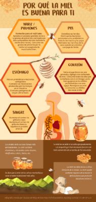 Qu Beneficios Tiene La Miel De Abeja Conadeip