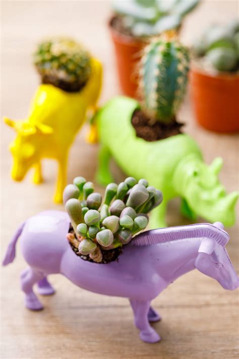 Diy Succulent Planters Using Old Animal Figures - Miss Wish