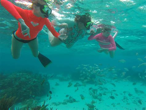 Snorkel Tours Private Boat Tours Grand Cayman Stingray City Corals