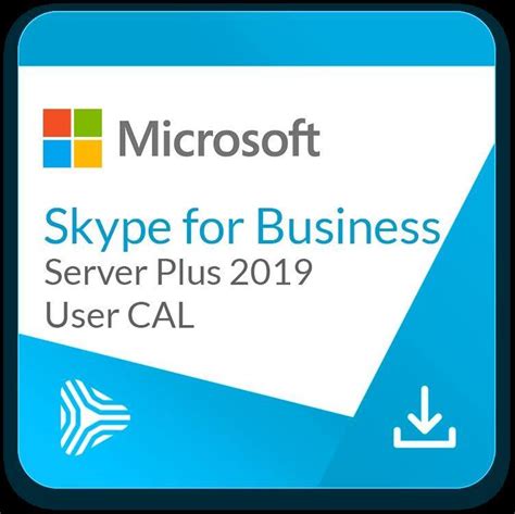 Program Biurowy Microsoft Skype For Business Server Plus 2019 User Cal