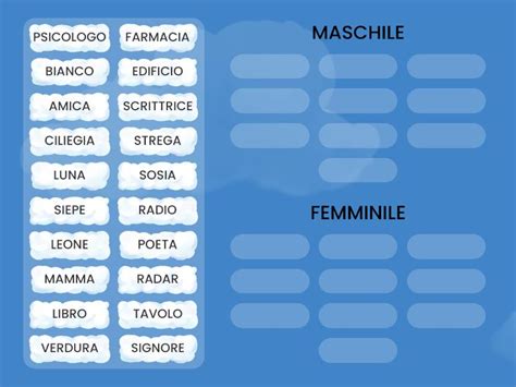 Il Nome Genere E Numero Organizza Per Gruppo