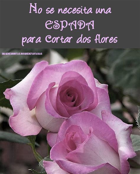 Increíble Imagenes De Flores Hermosas Con Frases De Amor Mejor Casa