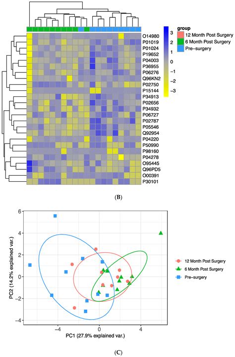 JCM Free Full Text Changes In The Proteome Profile Of People