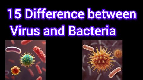 Difference Between Virus And Bacteria YouTube