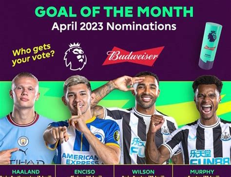 Premier League Announce Goal Of The Month Award Nominees [see All Goals