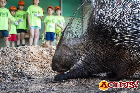 Bioparc Valencia Inicia La Escuela De Vacaciones