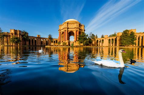 Download Reflection Swan Pond Building San Francisco Man Made Palace Of