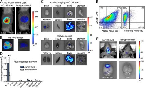 Noninvasive Positron Emission Tomography And Fluorescence Imaging Of