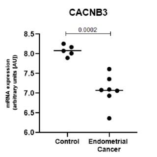 CACNB3 Is Expressed At Significantly Lower Levels In The Endometrial