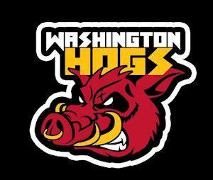 Redwolves, Redtails, Hogs: Odds, betting on new name for Washington FT