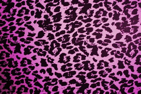 🔥 [50+] Leopard Wallpapers for Laptop | WallpaperSafari