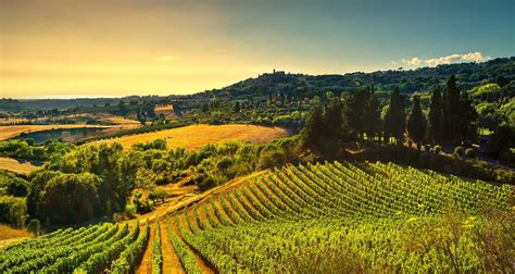 Private Gourmet Wine Tour In Tuscany Italy By Soleto Travel With 4