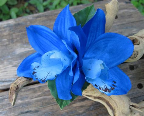 Tropical Hawaiian ROYAL BLUE Two Orchids with leaves hair | Etsy