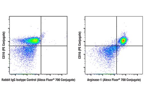 Arginase 1 D4E3M XP Rabbit MAb Alexa Fluor 700 Conjugate Cell