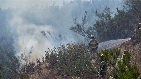 Incendios Forestales Han Consumido M S De Mil Hect Reas En Zona