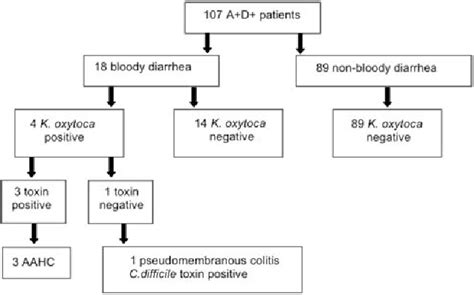 Figure 1 from Role of Klebsiella oxytoca in antibiotic-associated ...