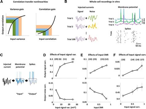 Nonlinear Transfer Of Signal And Noise Correlations In Cortical