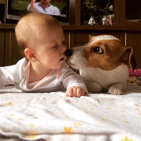 Няня картинка для детей (67 фото) - картинки sobakovod.club