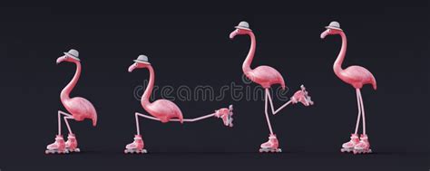 Flamingo Rosa En Varias Poses Monta Patines Sobre Fondo Negro Concepto