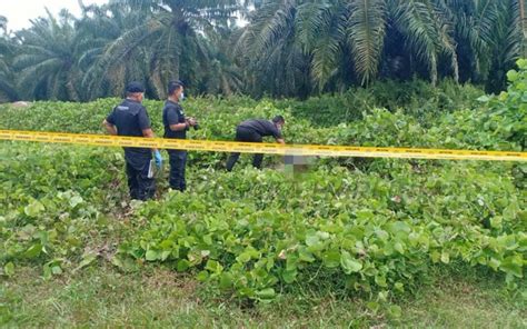 Didakwa Bunuh Rakan Dalam Kebun Sawit Fmt