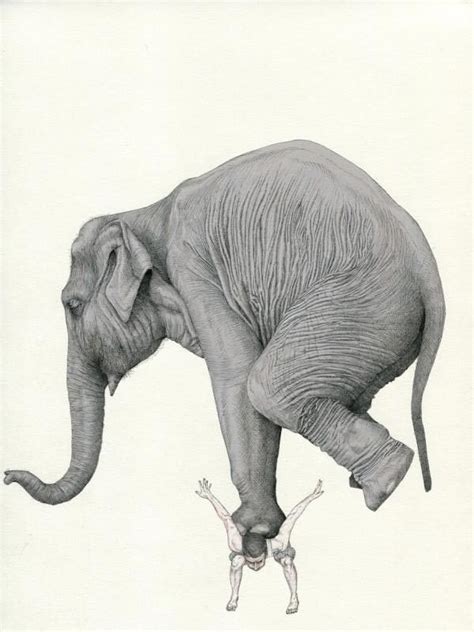 Рисунок жопа слона - 96 фото