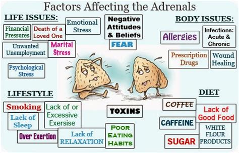 MYO Therapy & Healthcare Institute: Symptoms Of Adrenal Fatigue