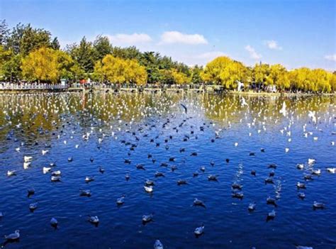 Green Lake Park Kunming Kunming Attraction