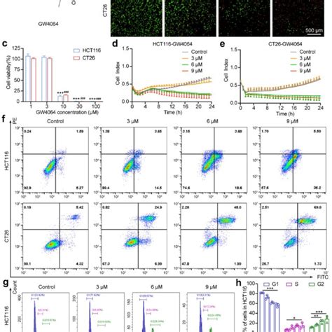 GW4064 Inhibited CRC Cells Proliferation And Induced Apoptosis In