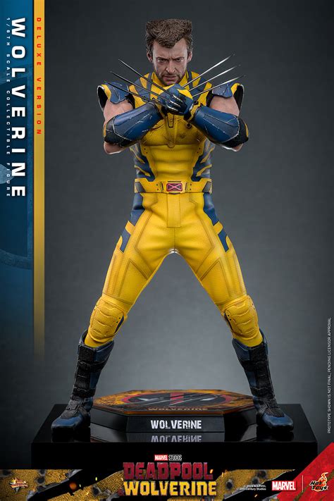 Wolverine Deluxe Version Hot Toys Figuristi Store