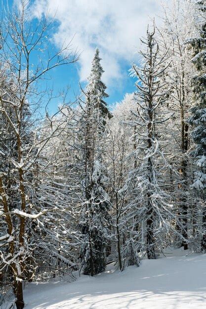 Premium Photo | Winter mountain snowy landscape