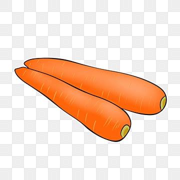 Carrot Hd Transparent Carrot Vector Illustration Png Vegetables Hand