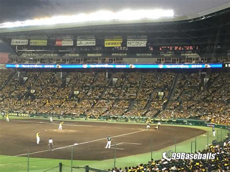 How is Japanese baseball Different from American baseball - 99Baseballs.com