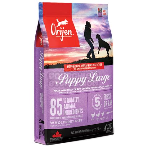 Croquettes Chien Orijen Puppy Large Pourchienetchat