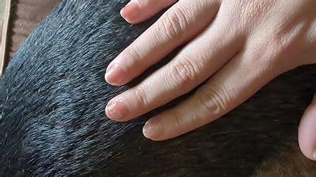 Amazon Beetles Jelly Gel Nail Polish Set Colors Nude Sheer Pink Shimmer Gel Polish Soft