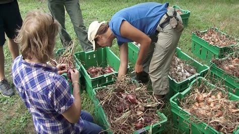 Rolling Harvest Food Rescue Youtube