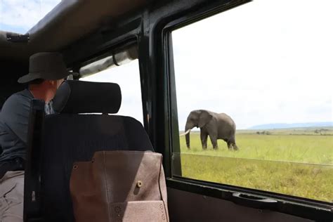 Masai Mara Safari Best Time To Visit Masai Mara Month By Month Guide