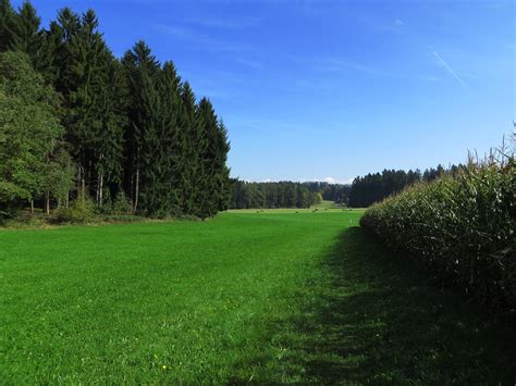 Ostbay Wolken Feld Wald Wiese Weg Bernd Brang Flickr