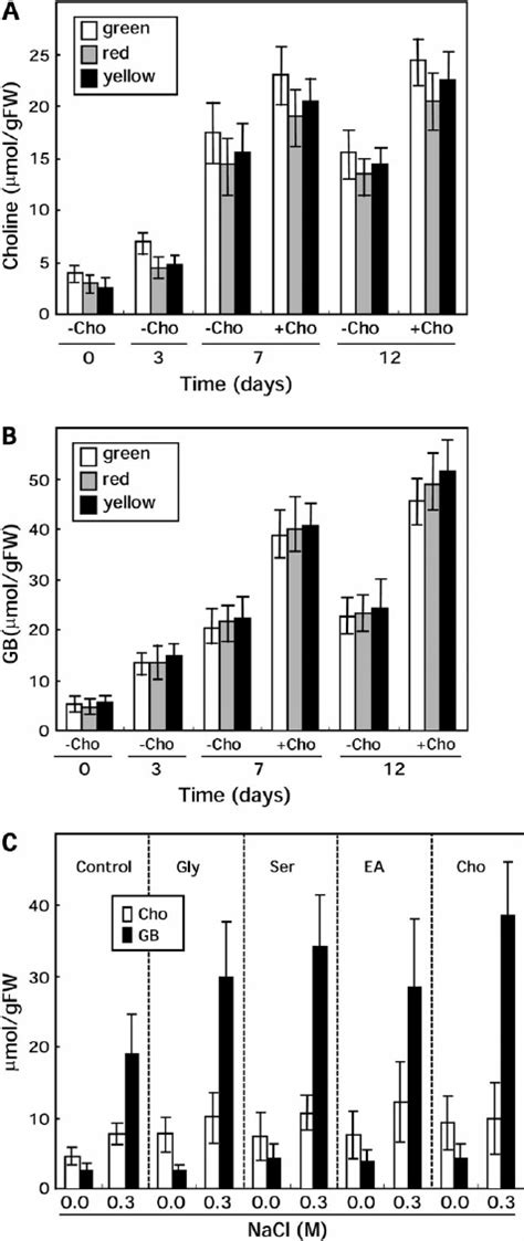 Effects Of Precursor Supply On The Levels Of Choline And Betaine Download Scientific Diagram