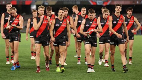 Essendon Bombers Season Predictions Straya Sports