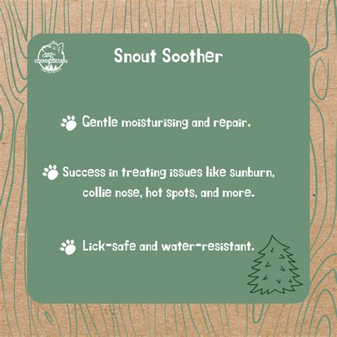 All- Natural Snout Soother - For Dogs With A Dry Snoot – Back To Nature Co