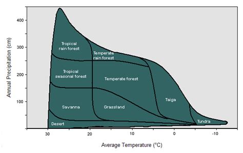 Tundra Biome Climate Graph