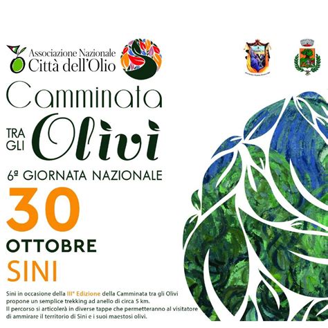 Camminata Tra Gli Olivi A Sini Domenica 30 Ottobre 2022