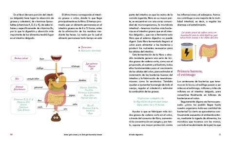 Dime Qu Comes Y Te Dir Qu Bacterias Tienes El Intestino Nuestro